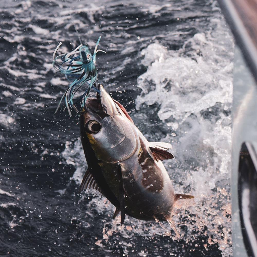 Blackfin Tuna Trolling Lures – Fathom Offshore
