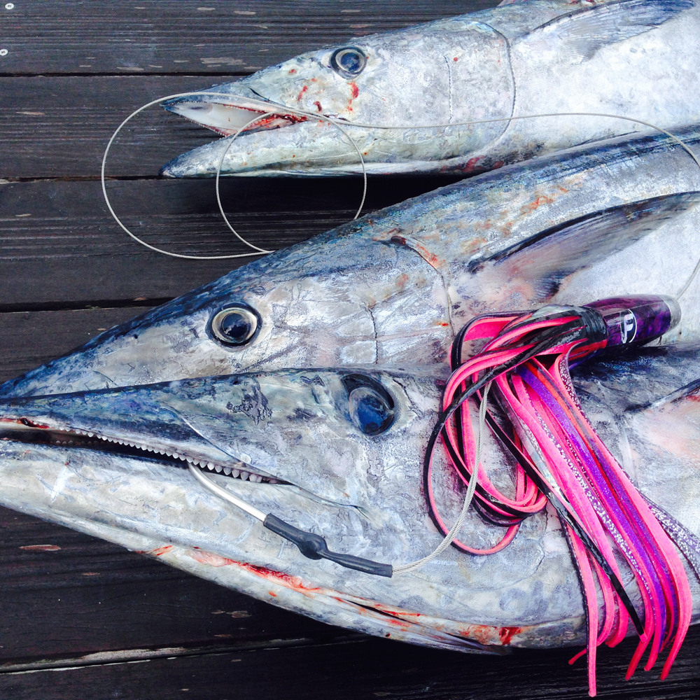 Best Wahoo Trolling Lures & Tackle – Fathom Offshore