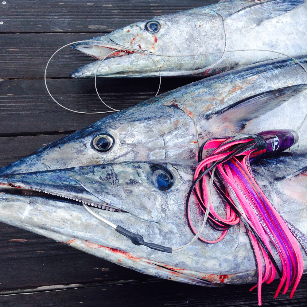 Double hook ballyhoo rig for wahoo!! Running 2 hooks help