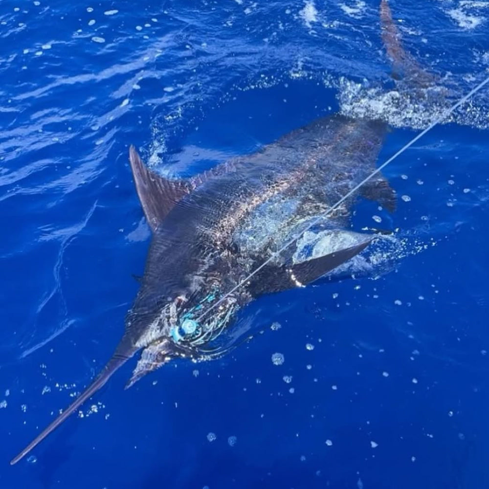 Calico Jack Slant Medium 9" Trolling Lure