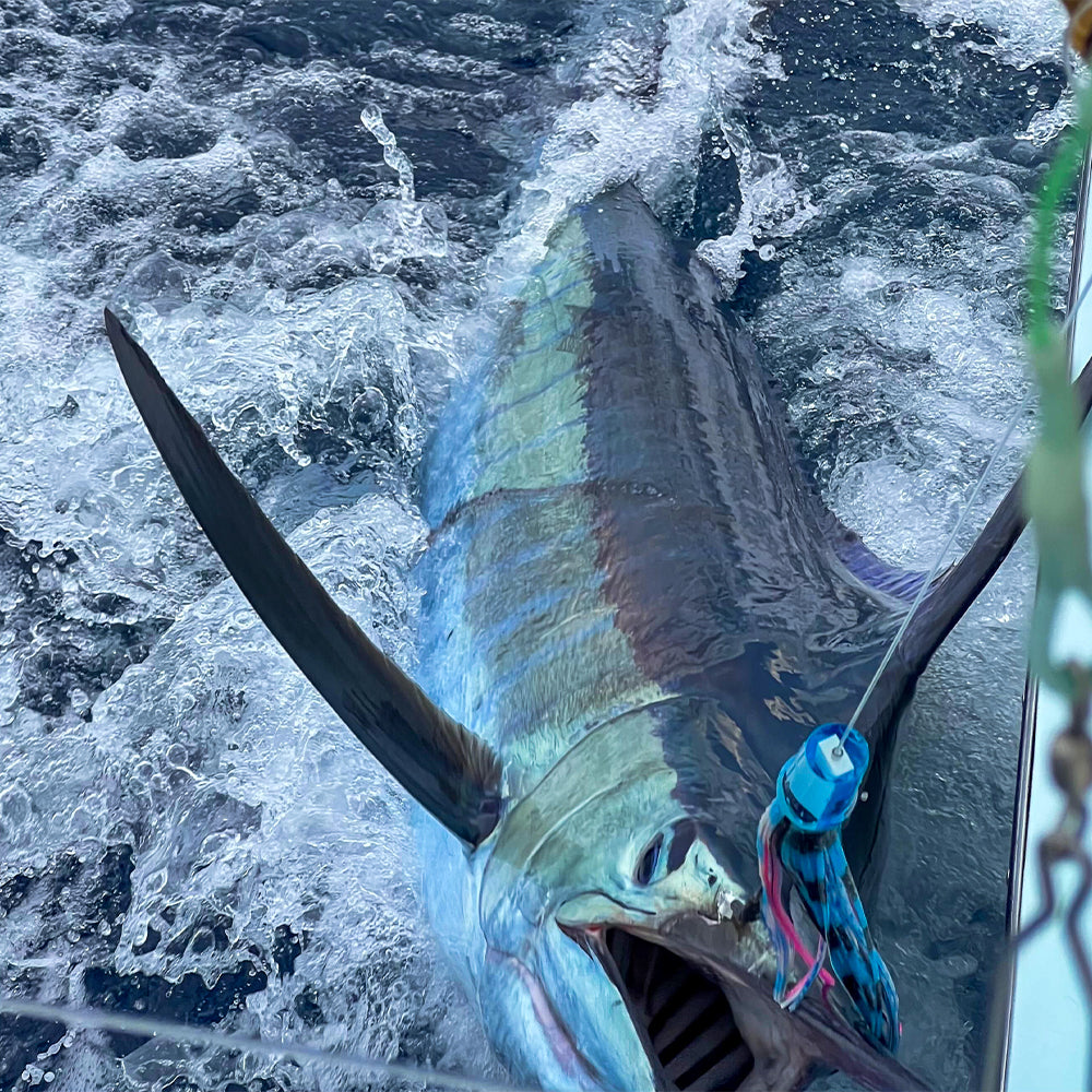 Game Changer Extra Large 16" Trolling Lure