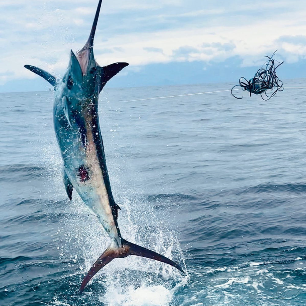 Jungle Bug Large 14" Trolling Lure