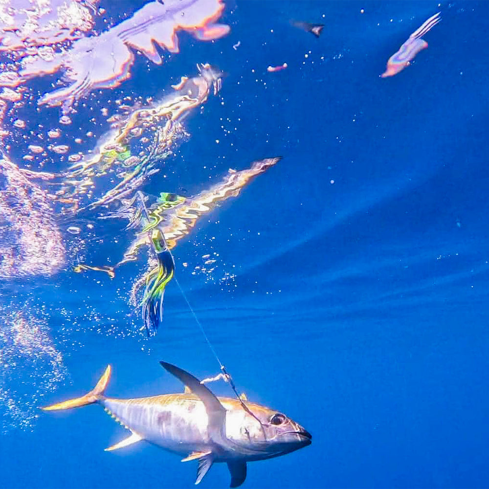 Mistress Medium 9" Trolling Lure