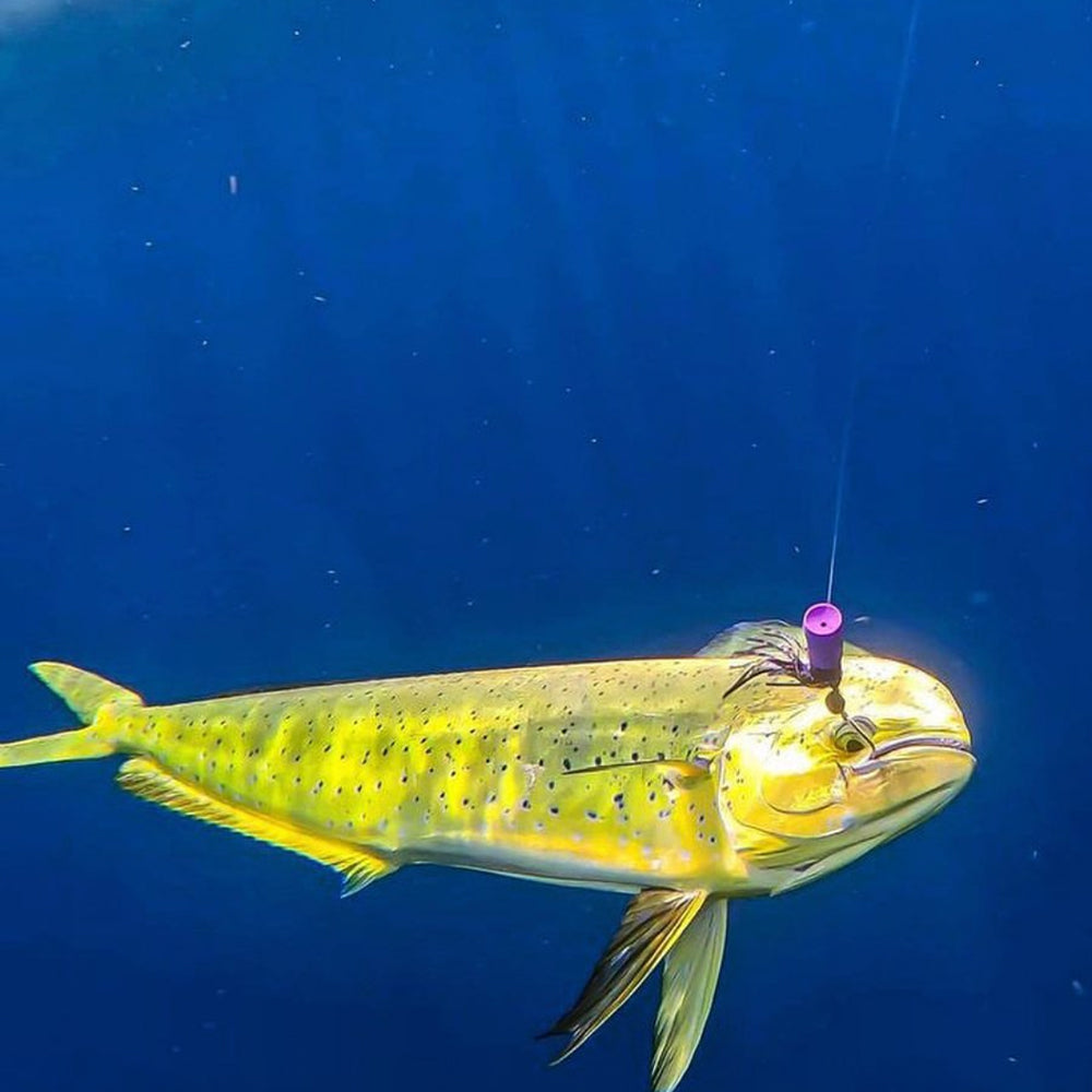 Mini Soft Head 4" Mylar Chugger