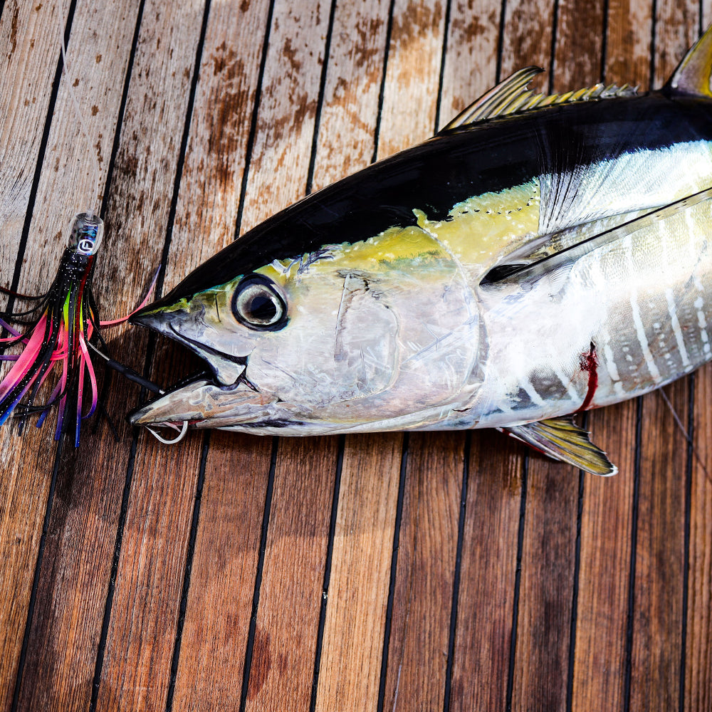 Same Ole Roll Small 7" Trolling Lure