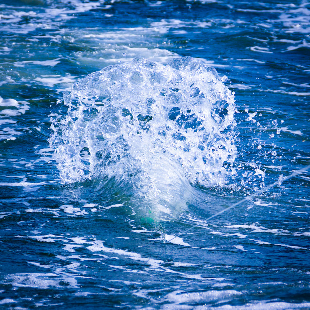 Esca Teaser Bird Da 13 Pollici - Per Pesca Offshore A Tonno E Marlin, Colore Rosa, Tackleworks - Foto 2