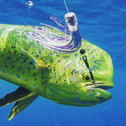 Leader in offshore and inshore saltwater fishing tackle and