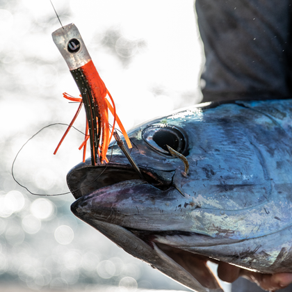 Fathom Offshore fishing lures for tuna