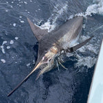 Blackfin Tuna Game Changer Medium 10" Trolling Lure
