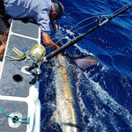 Yellowfin Tuna Calico Jack Slant Medium 9" Trolling Lure